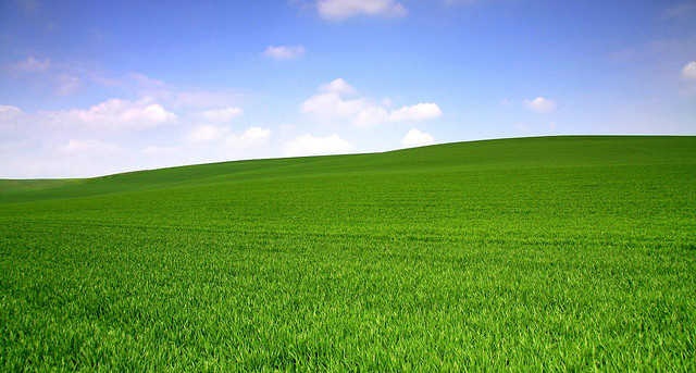 This is an image of a green field